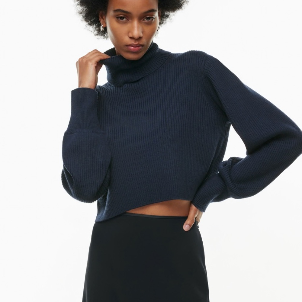 Wilfred Aritzia Rebecca Turtleneck Sweater